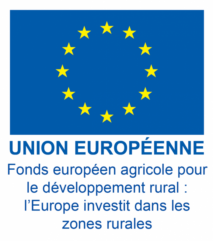 LOGO FEADER
