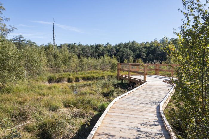 Inauguration du caillebotis de l’espace NATURE 2000 « Tourbière de la Demoiselle »